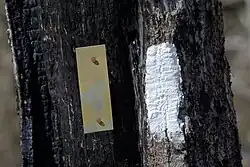 Trail markers where the Appalachian Trail and Bartram Trail meet