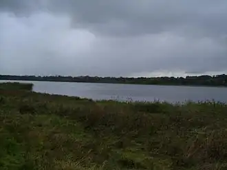 A lake surrounded by grass