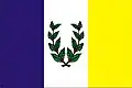 Flag of Atílio Vivacqua