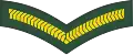 Lance corporal (Barbados Regiment)[34]