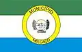 Flag of Melgaço