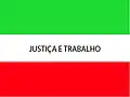 Flag of Tanque Novo