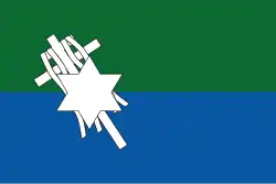 Flag of San Joaquín Municipality