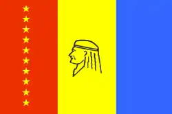 Flag of Maturín Municipality