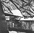 The interior of the combat position under the camouflage net, 1939