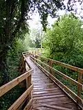 Reedfen Boardwalk at Batford Springs