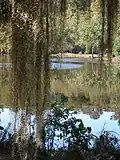 The Camp Salmen Nature Park Property, on which the Camp Salmen House is located, has almost one-half mile of frontage along Bayou Liberty.