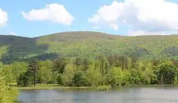 Wooded mountain, seen from a lake
