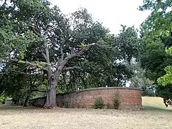 Remains of the original ha-ha wall at Beechworth Asylum from the "outside" of the original asylum boundary