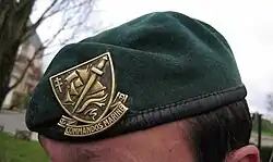 Beret and badge of the Commandos Marine.