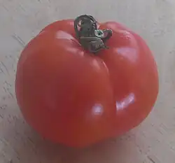 A single red tomato
