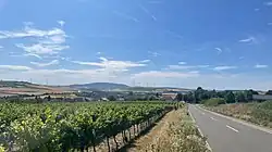 View of Einselthum with the Pfrimm valley and Donnersberg mountain in the background