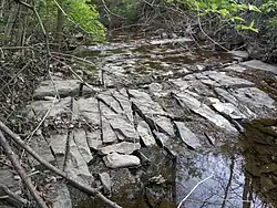 Block Limestone is typically a relatively thin, fine-grained well consolidated limestone