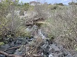 Bonita Creek flowing into San Diego Creek