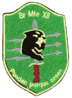 Shoulder patch showing an animal face, a knife and three arrows on a green background