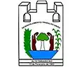 Coat of arms of Alto Paraíso