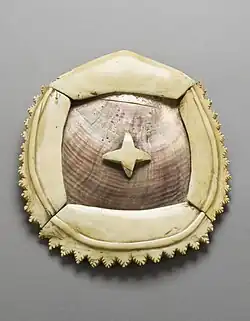 Breast Ornament (civa vonovono); c. 1850; whale ivory, pearl shell and fiber; height: 12.7 centimetres (5.0 in), diameter: 17.78 centimetres (7.00 in); from Fiji; Los Angeles County Museum of Art