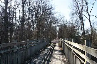 Wooden footbridge ends and becomes a gravel trail with tall trees on either side