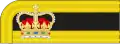 1856 to 1867 lieutenant colonel's collar rank insignia
