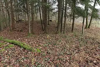 Image 9: N side of the site (Dec&nbsp;2014)