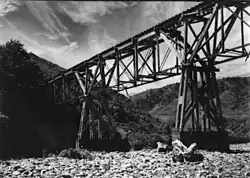 Bush tramway bridge with two piers crossing the Hutt River at Te Mārua