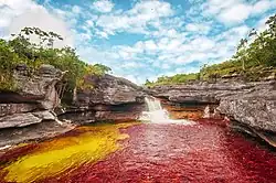 Warm and wet climate in Caño Cristales