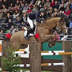 a light bay horse with rider jumping a double fence