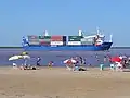 Container ship, traveling downstream by the city of Ramallo, Argentina