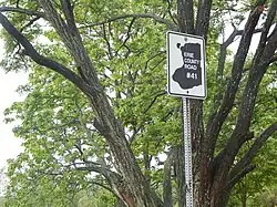 A white rectangle with the outline of Erie County in black at its center. The text Erie County Road #41 is inside the outline in white.