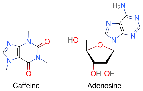 Two skeletal formulas: left – caffeine, right – adenosine.