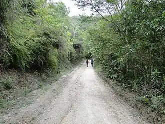 Road to Casca d'Anta