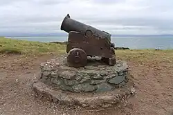 Cannon