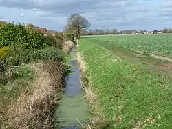 Car Dyke, south of Dyke