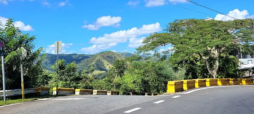 Puerto Rico Highway 727 at Puerto Rico Highway 14 junction between Robles and Plata