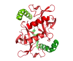 A small dimer representing the structures of two toxin molecules is associated with the c-terminal domains of the associated antitoxin molecules in the ccdAB addiction module.