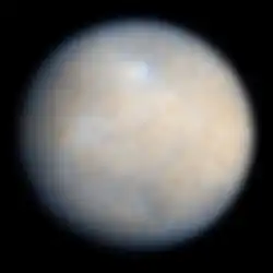 a brown fuzzy sphere with some blurry bright and dark spots