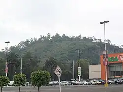 Cerro Los Gachupines