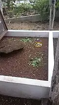 Tortoise nursery