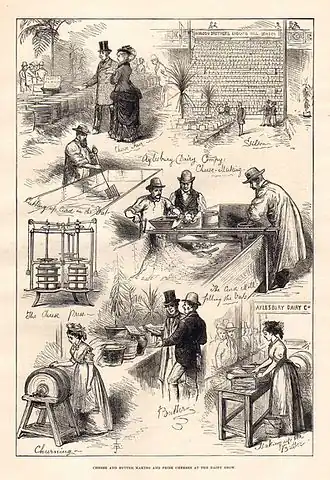 Cheese and Butter Making and Prize Cheeses at the Dairy Show; The Illustrated London News, 1876