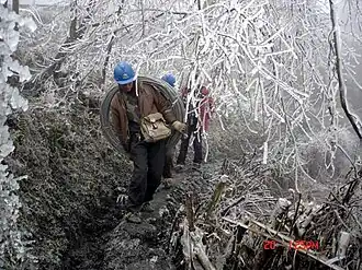 In a forest, tree branches can be seen covered with a layer of ice after the 2008 Chinese winter storms. Workers can be seen walking up a trail.