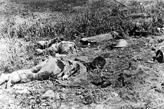 Several lifeless bodies lying in a field: To the left in the middle ground, a soldier lies face down in the soil, while another lies face up with arms outstretched among the grass behind him. Broken vegetation is strewn around the position, while to the right, two helmets lie on the ground.
