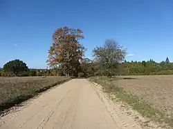 Cirkliškis, Lithuania