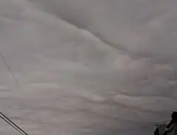 Stratocumulus undulatus asperitas clouds, seen from Earth