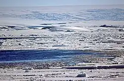 Antarctic coastline near the station