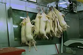 Piglet carcases hanging on butcher's hooks in a market