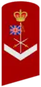 One-bar chevron below crossed swords, Union Jack and crown