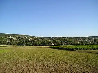 Combaillaux vineyards and wooded hills