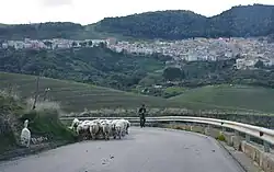 Landscape of Contessa Entellina