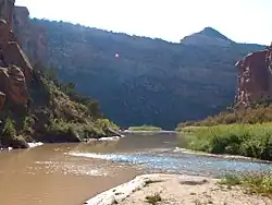 The mouth of the San Miguel - the confluence of the Dolores River (muddy on the left) and the San Miguel (clear on the right)