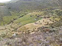 Creeks on the páramo